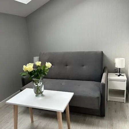 Lux Apart - Apartamenty Z Jacuzzi I Sauna Nad Wisla Ustron Exterior photo